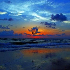 Meet your Posher, Jeffery paul